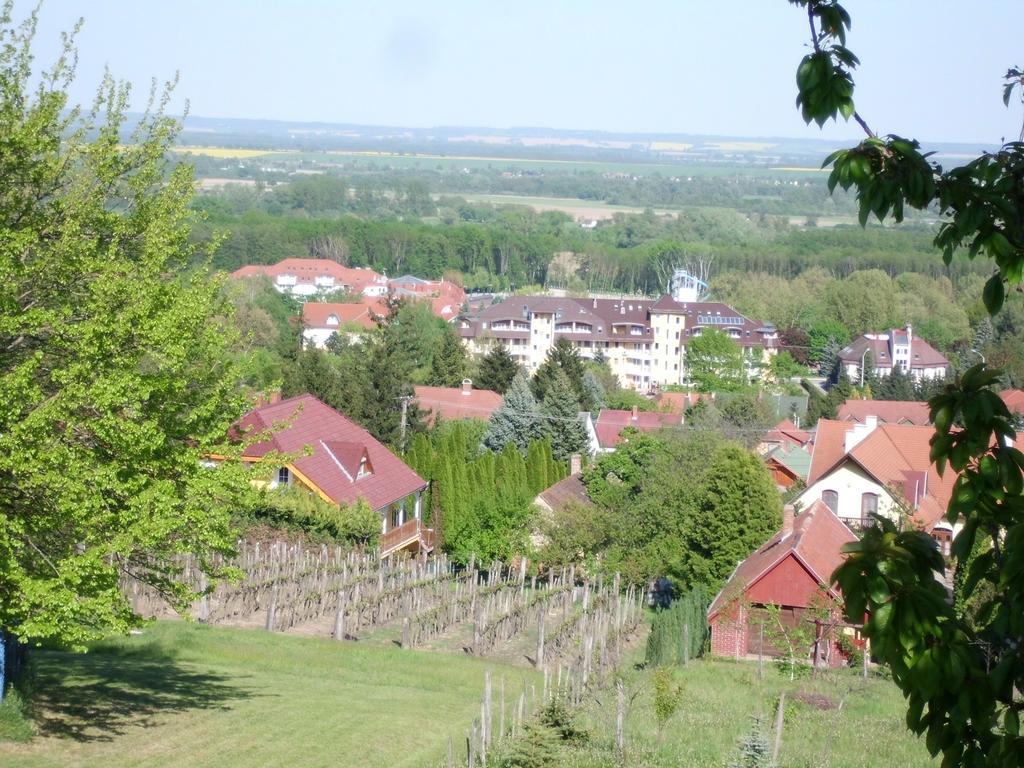Zalakaros Panorama Apartmanok エクステリア 写真